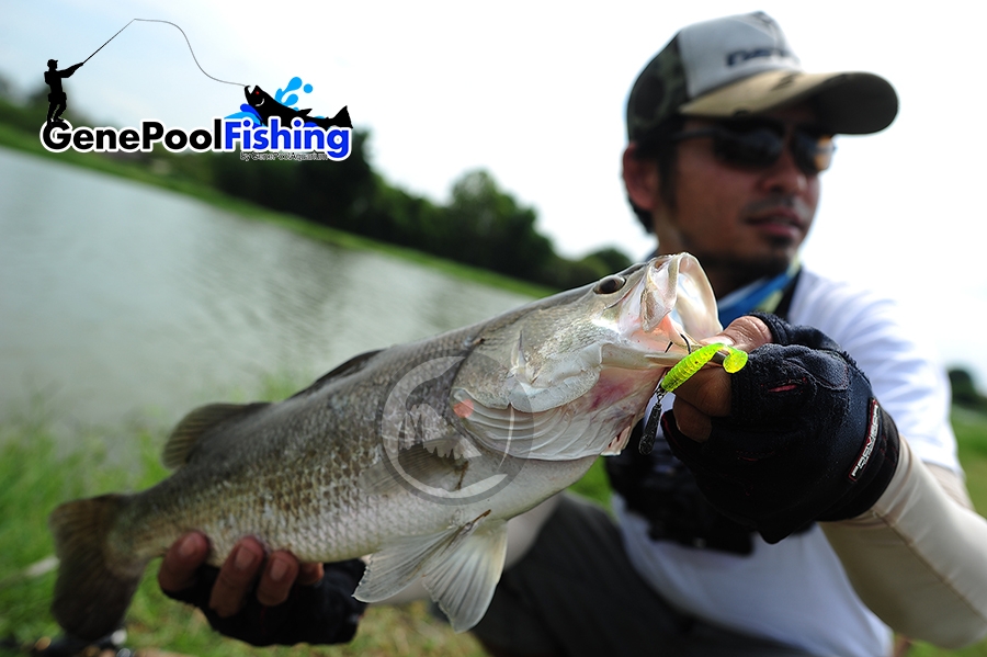 ตกปลาที่ บ่อไพรอท ด้วย  Rubber Jig และ  GenePool Rubber Worm101