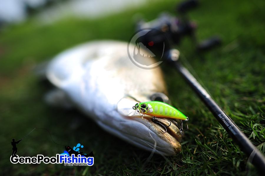 ตกปลาที่ บ่อไพรอท ด้วย  Rubber Jig และ  GenePool Rubber Worm101