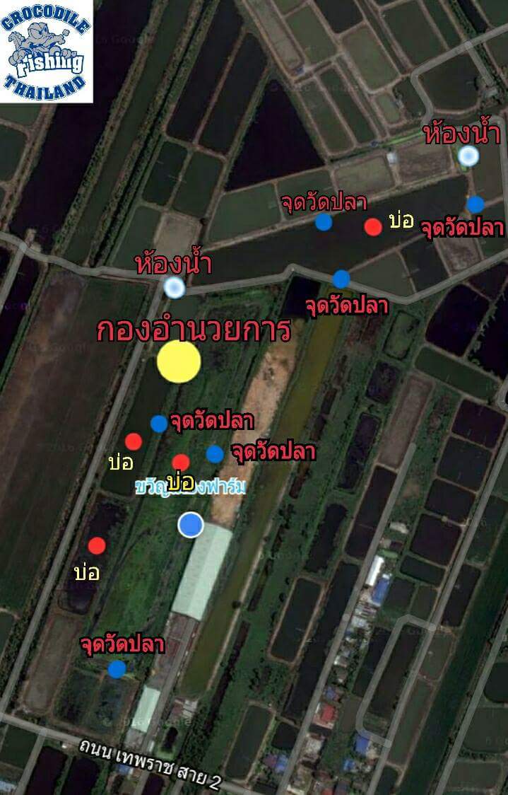 ปลาช่อนแมตแสน 9ตุลาคม เปิดสำรอง20ที่