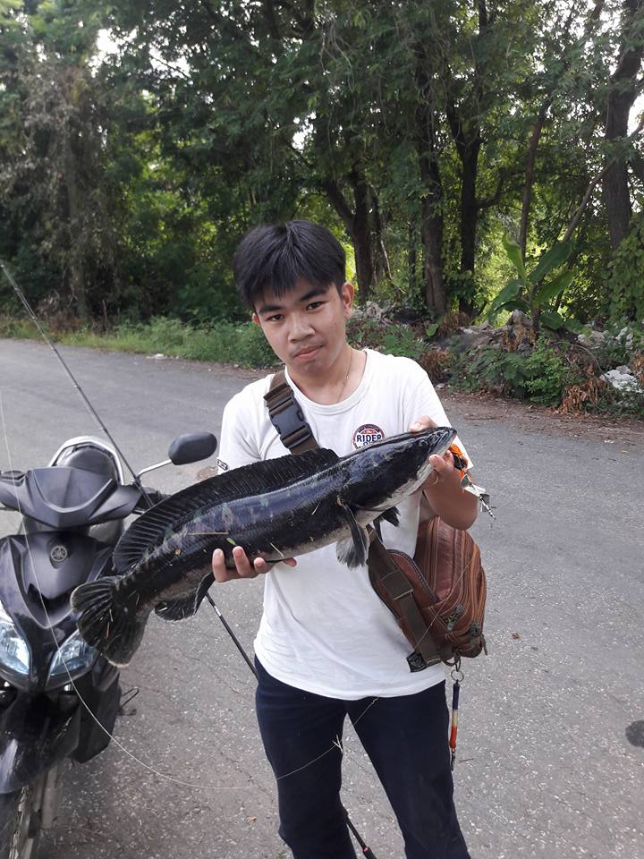 พอได้มันครับ