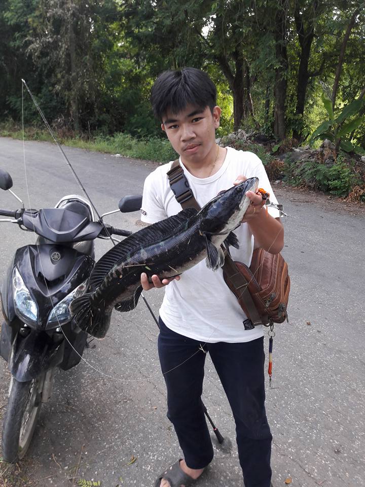 พอได้มันครับ
