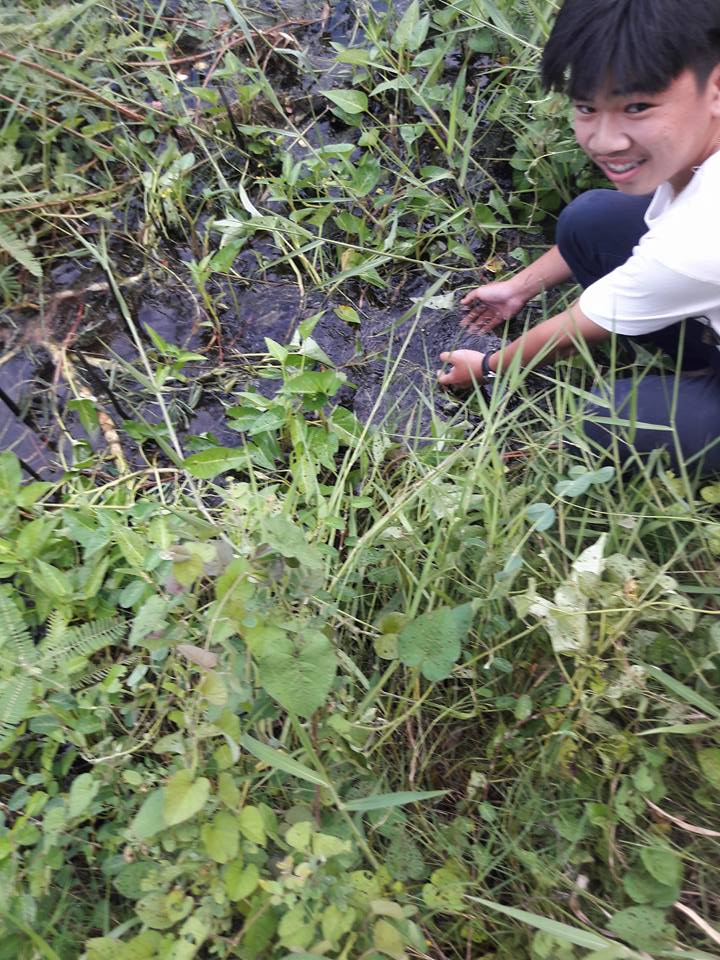 พอได้มันครับ