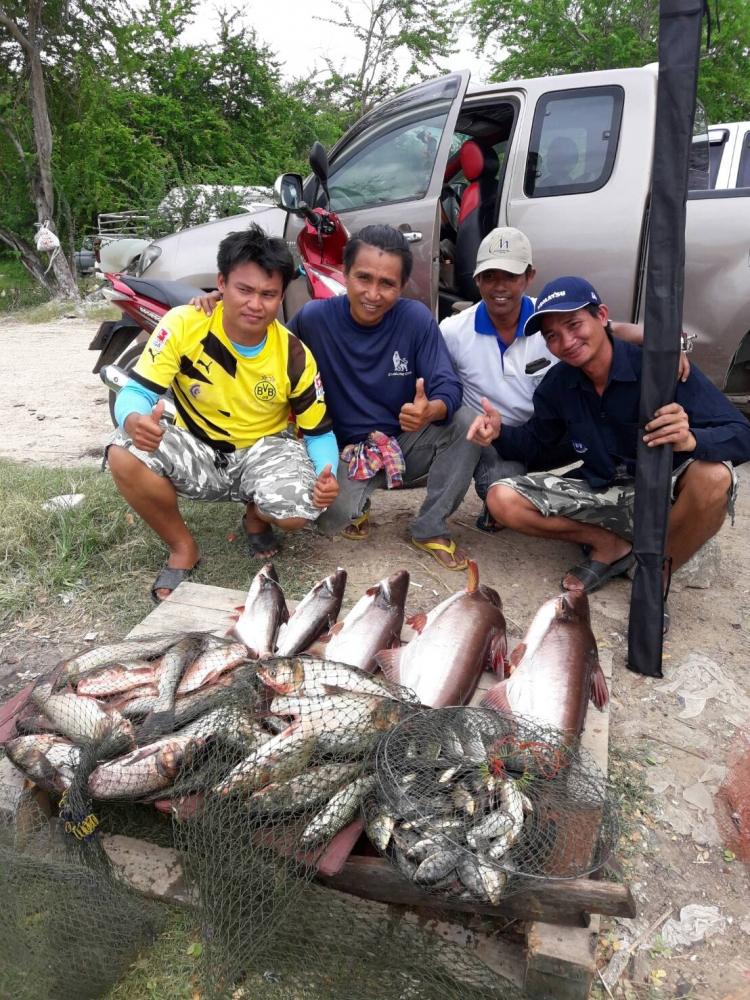 ลองส่งดูครับกับวันหยุดสุดสัปดาห์