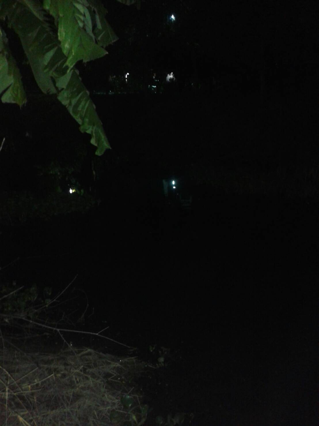 Night fishing