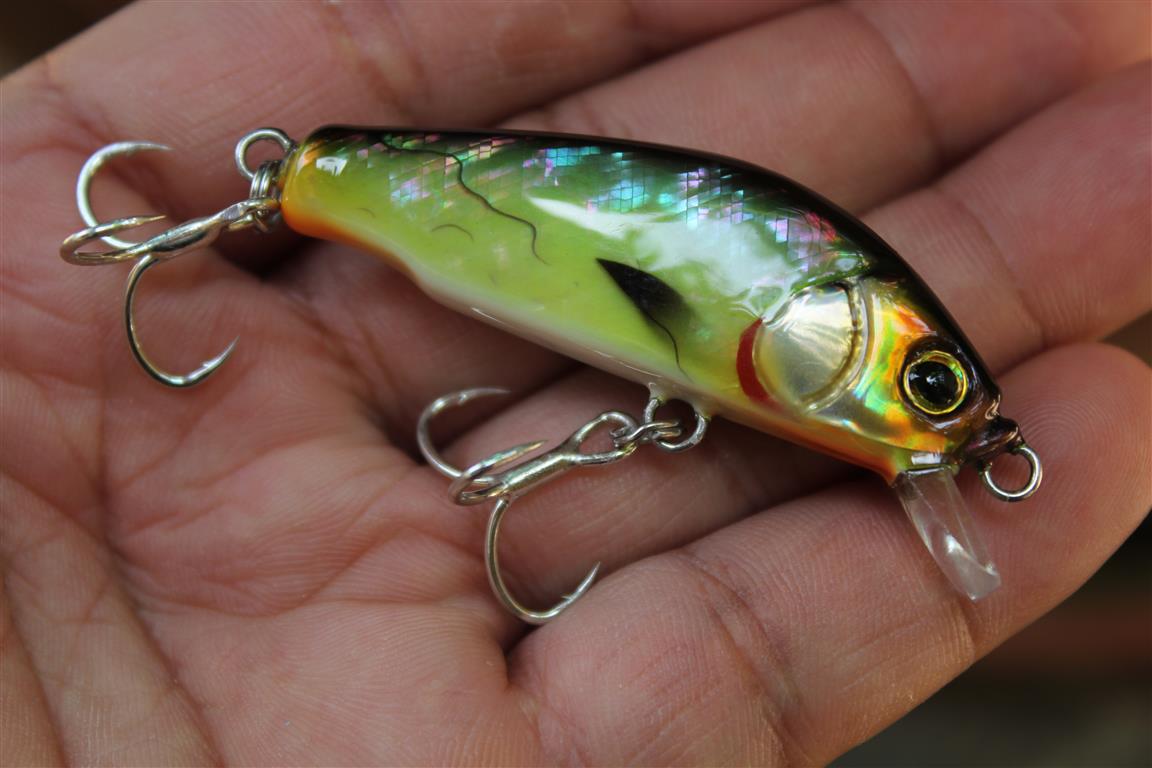 witbang lures