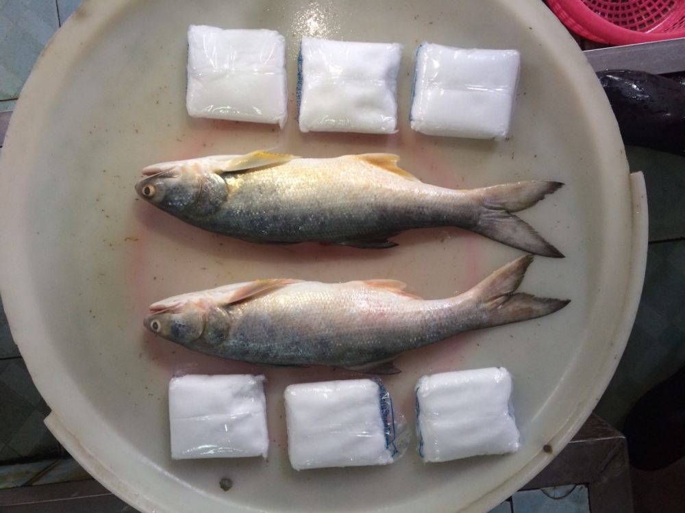 ทำปลากุเลาเค็มแบบง่าย ๆ 