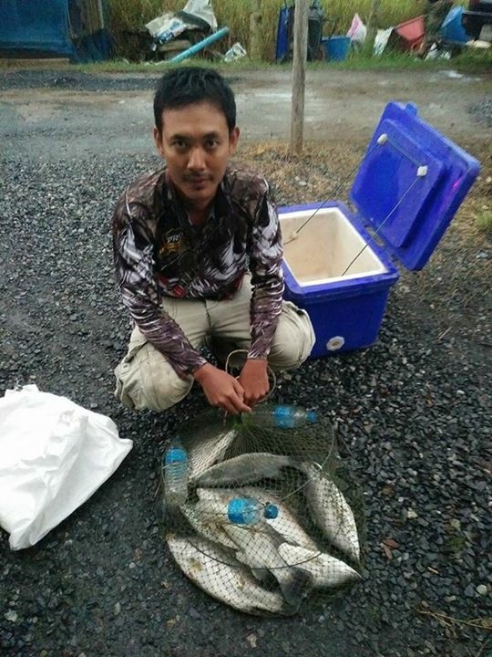 ==>อาทิตย์นี้กะพงบุฟเฟต์บึงเตยหนองจอกลงปลาใว้แล้วครับ230โลมารวยกันนะ