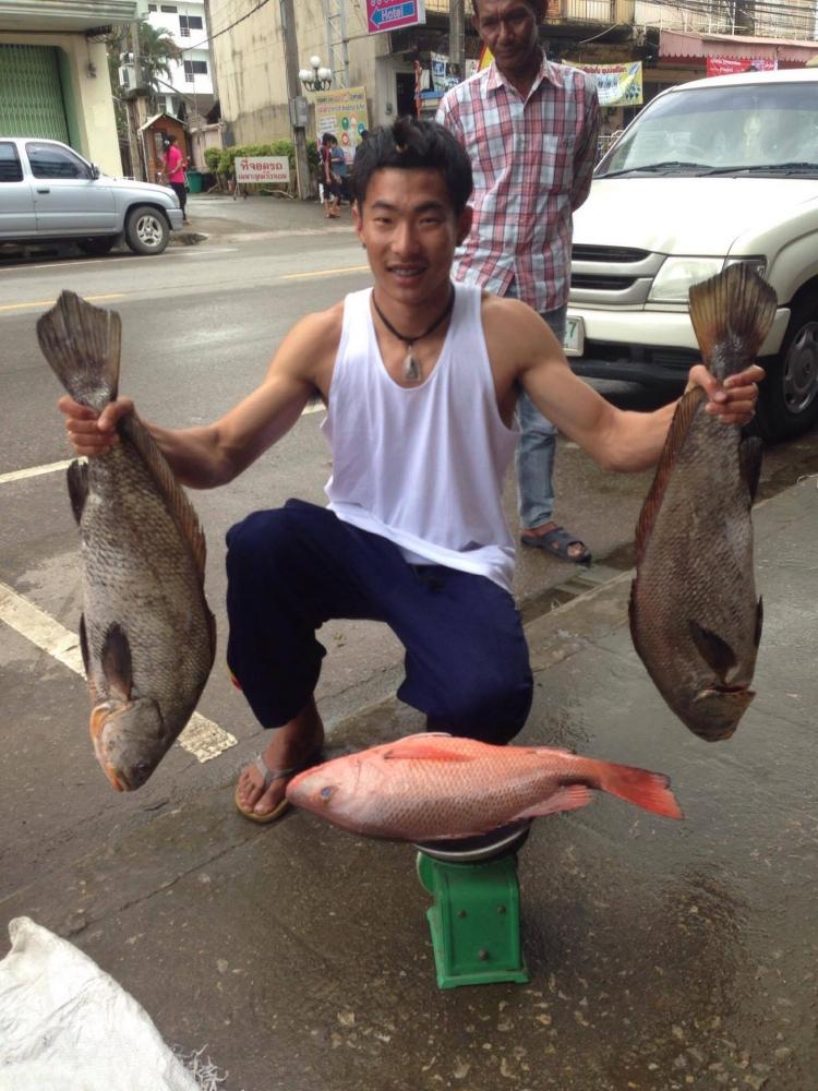 สอบถามครับ ว่าเหมือนกันรึป่าว