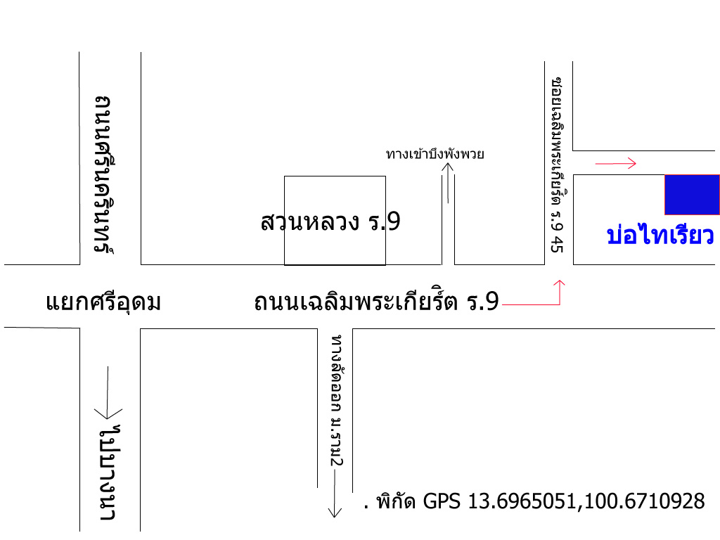 -ขอยกเลิกเพื่อไว้อาลัยครับ- กะพงไทเรียวลงปลาใหม่สำหรับเสาร์นี้แล้วนะคร้าบ