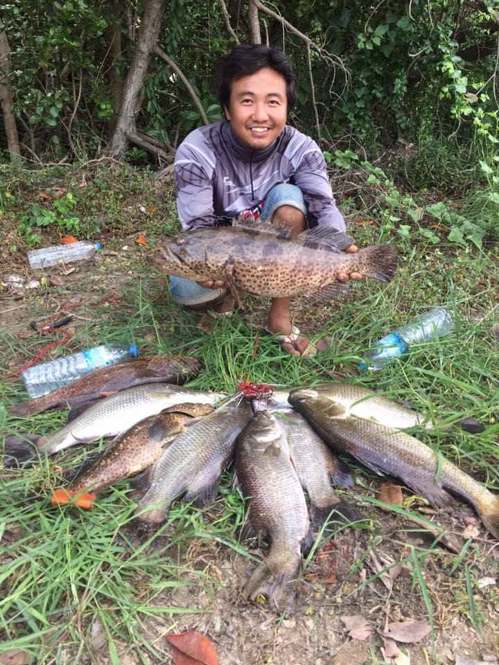 ปลาเล็ก ปลาน้อย