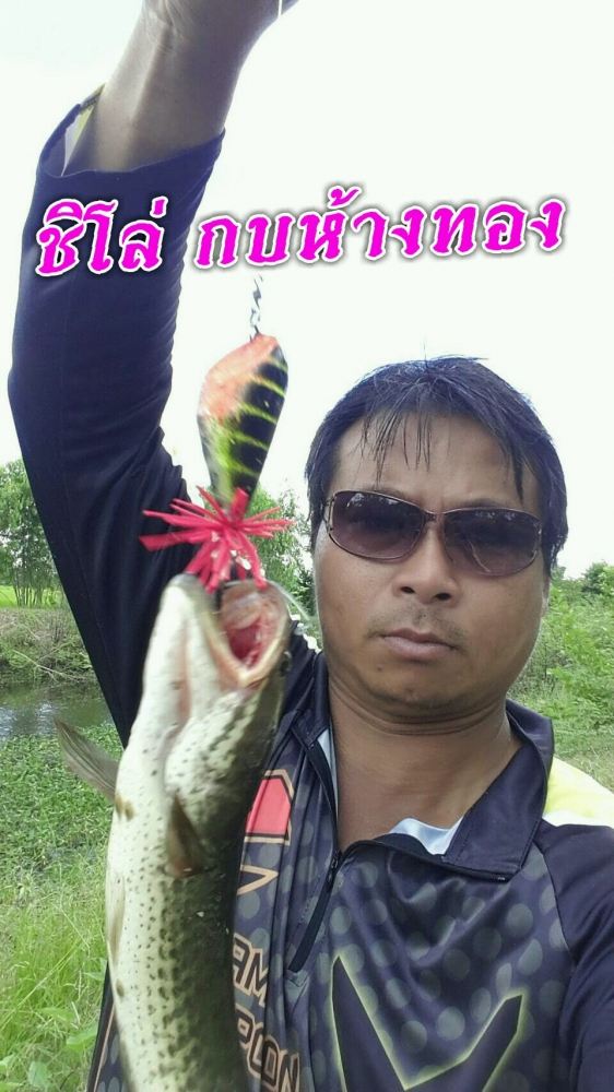 ตกปลาช่อนอ.อาจสามรถ