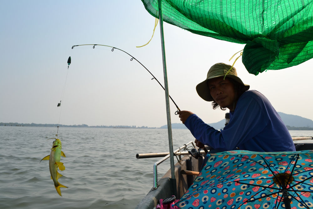 เรือตกปลาพร้อมออกทุกวันครับ (ถ้าว่าง)