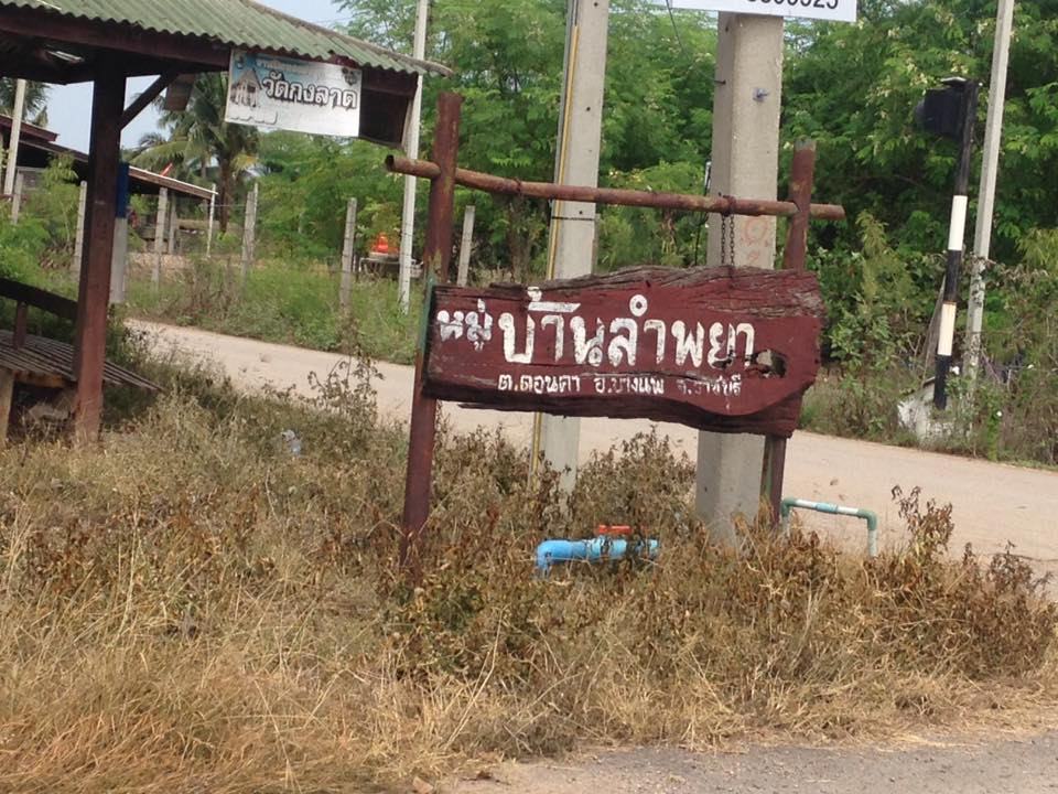 ช่อนคลองนครปฐม