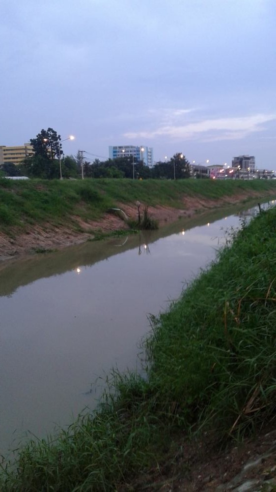 เท็คซัสคลองหลังฝนตก