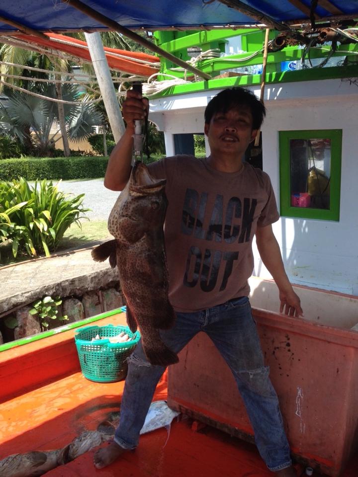 ลูกหมู ภาค 2 