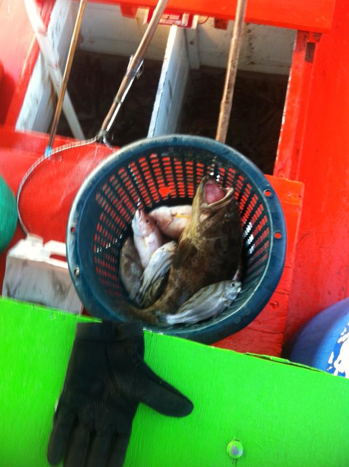 ลูกหมู ภาค 2 