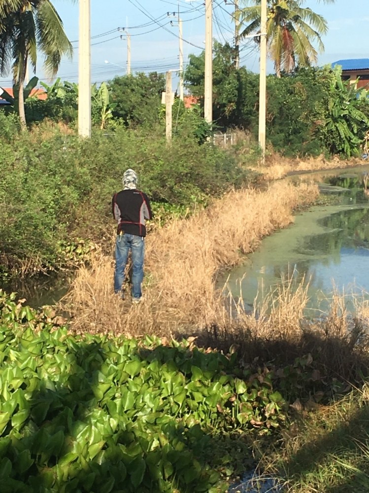 ได้หมด.ถ้าสดชื่น ช่อนบางใหญ่/SnakeHead Angler Club