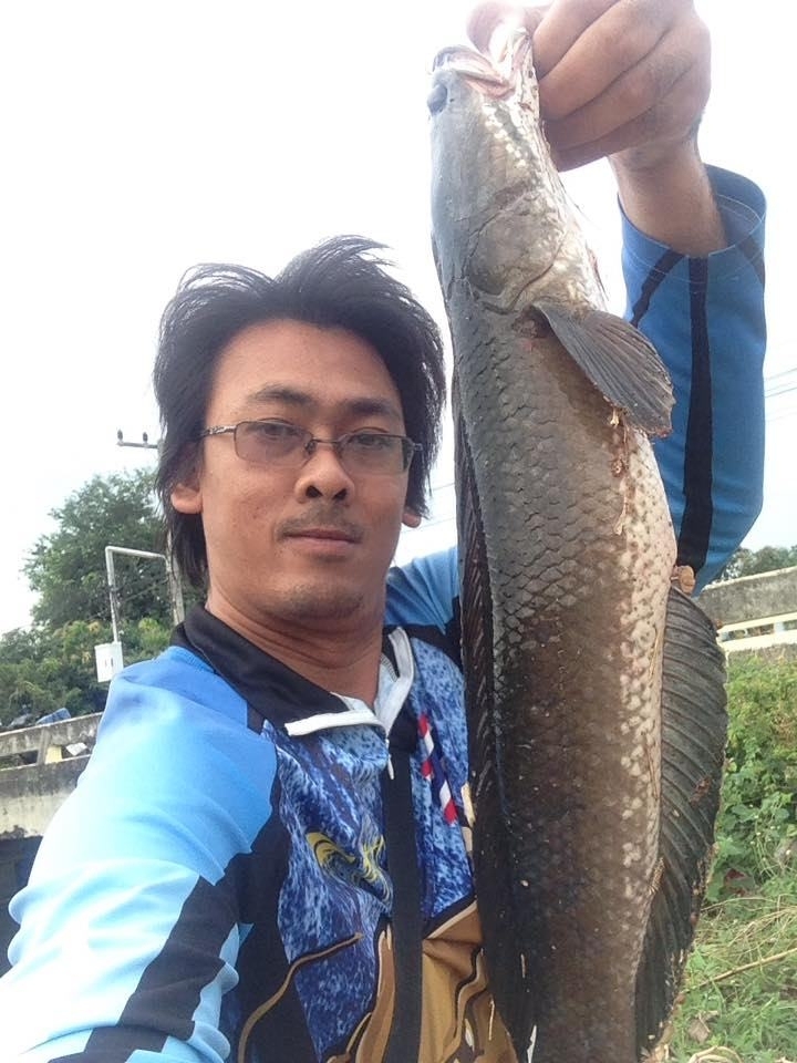 ช่อนคลองวันที่ลมเเรง
