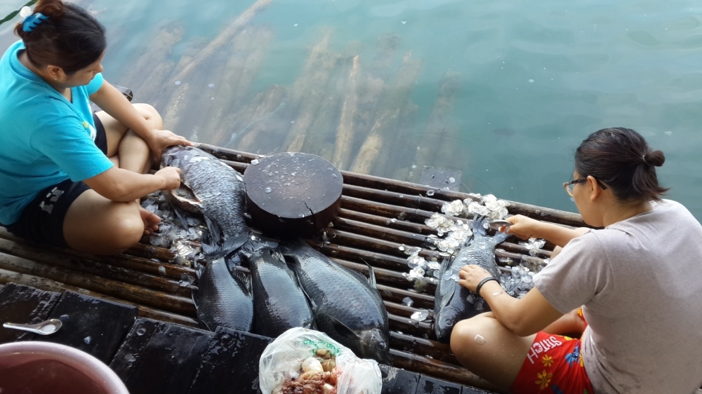 ปิดทริปปีนี้ที่เขาแหลมแพลุงต้อยโดยทีมงานซุ้มเซียน