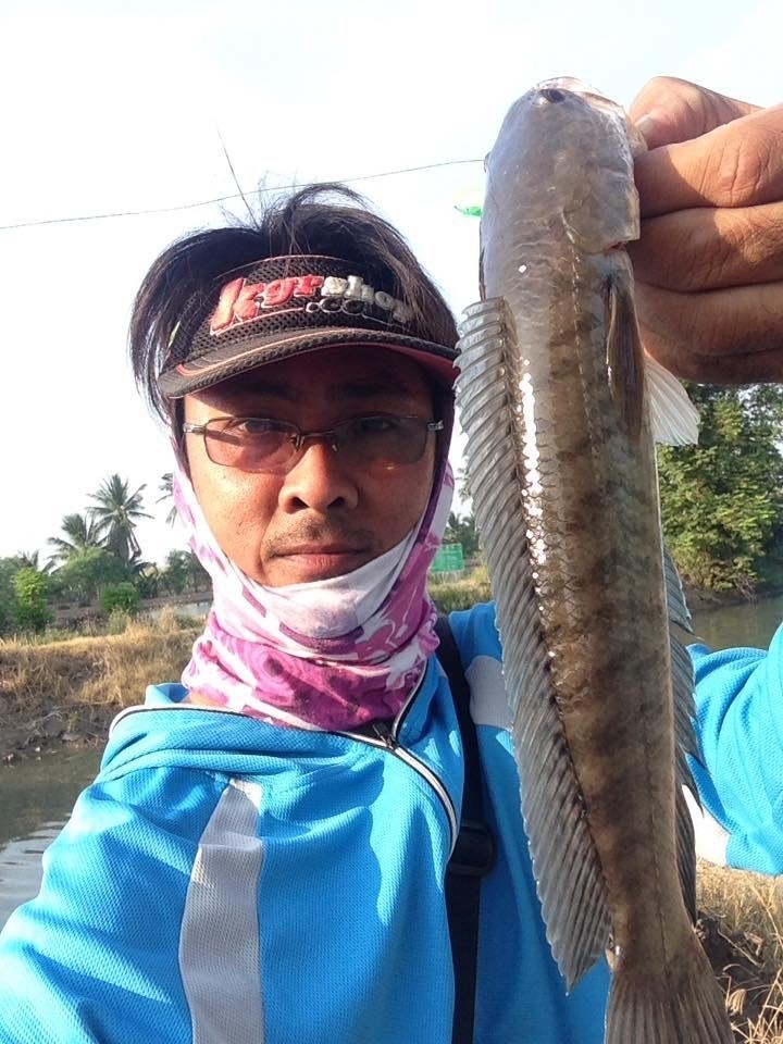 หัดเดินปลายาง