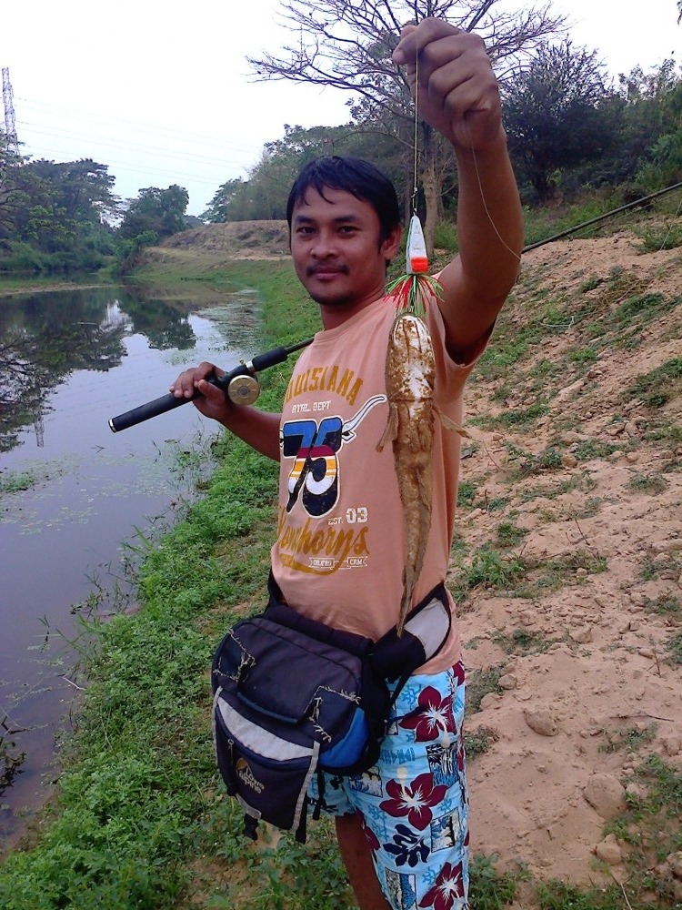 ช่อนน้อย