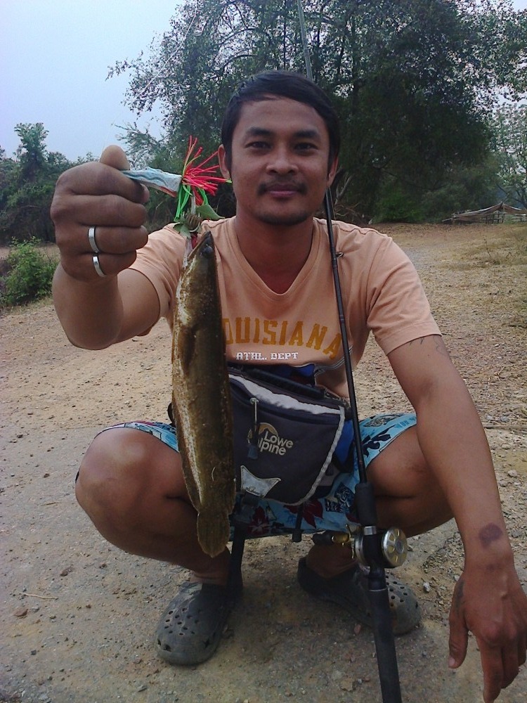 ช่อนน้อย