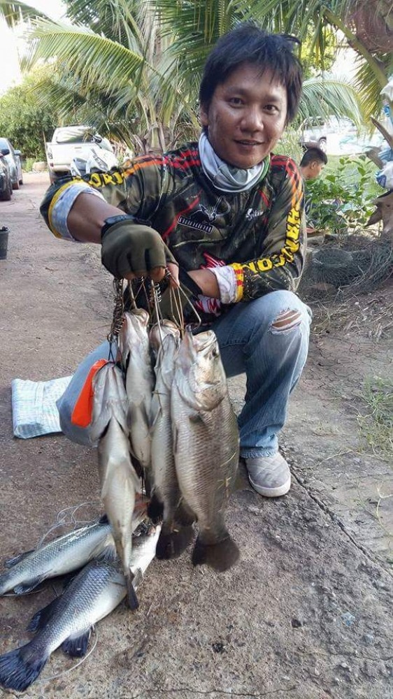 ตกปิดบ่อ เมืองใหม่