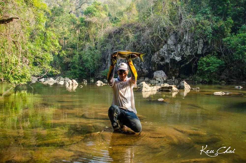 ปลา พลวง กาญจนบุรี