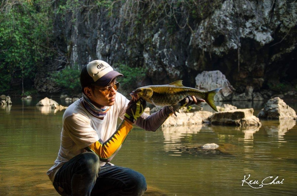 ปลา พลวง กาญจนบุรี