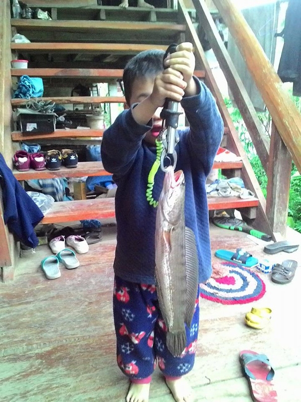กบยางอิคคิว 3.2 