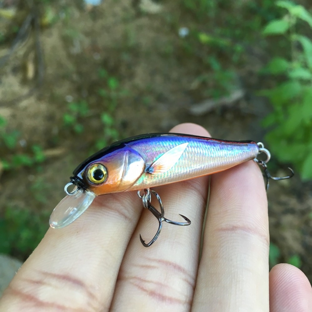 Minnow สีเหลือบ