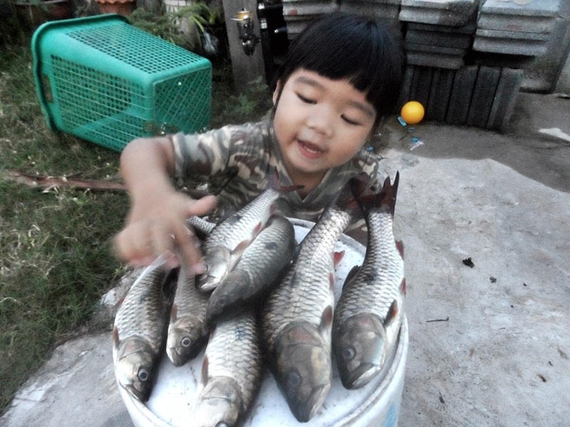 กระสูบจุด ยำมาแบบรวมๆหลายทริปครับผม