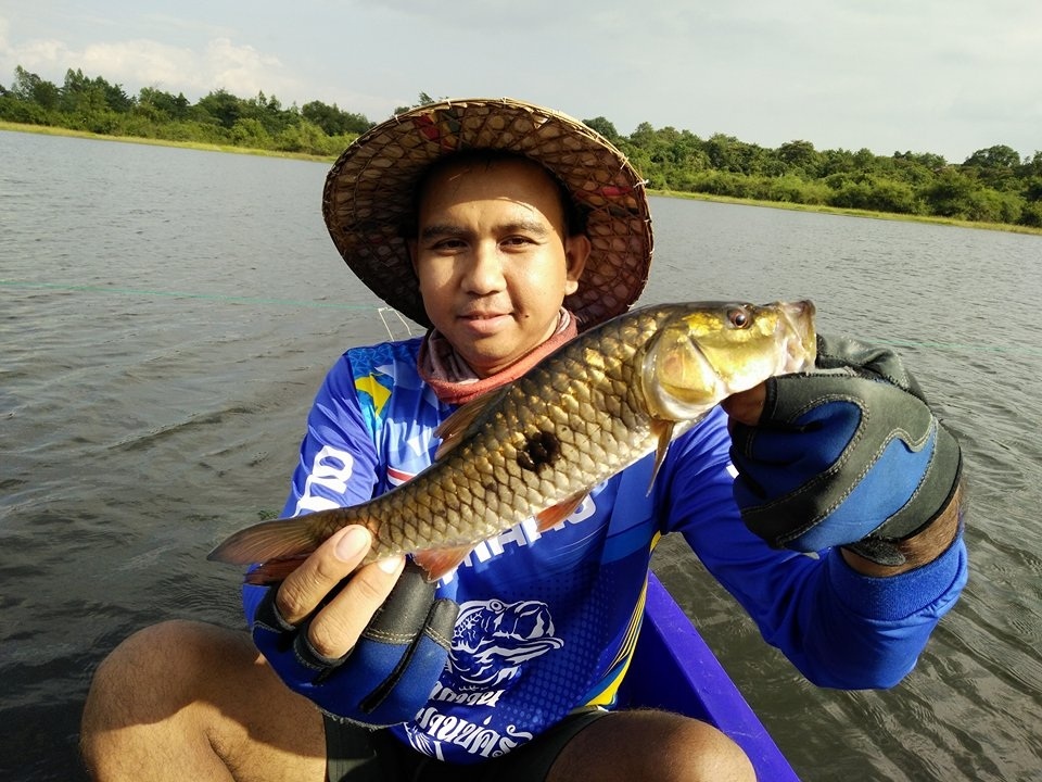 กระสูบจุด ยำมาแบบรวมๆหลายทริปครับผม