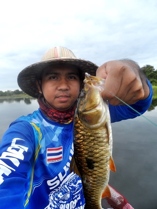 กระสูบจุด ยำมาแบบรวมๆหลายทริปครับผม