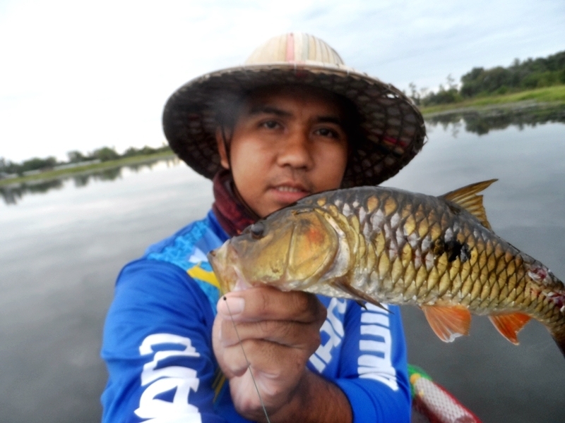 กระสูบจุด ยำมาแบบรวมๆหลายทริปครับผม