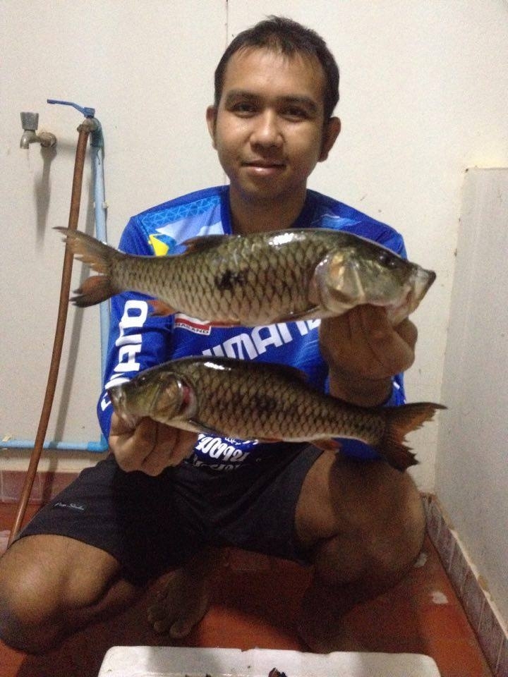 กระสูบจุด ยำมาแบบรวมๆหลายทริปครับผม