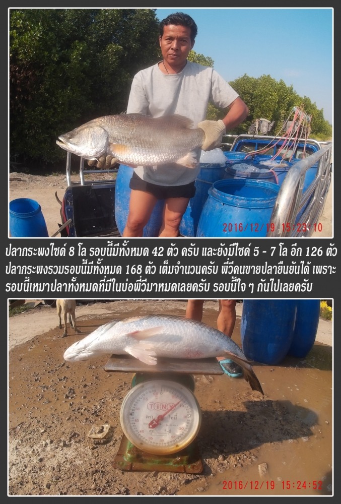 บ่อ..น้องวิน..เปิดอาทิตย์ที่ 22 ม.ค. 60 นะครับ