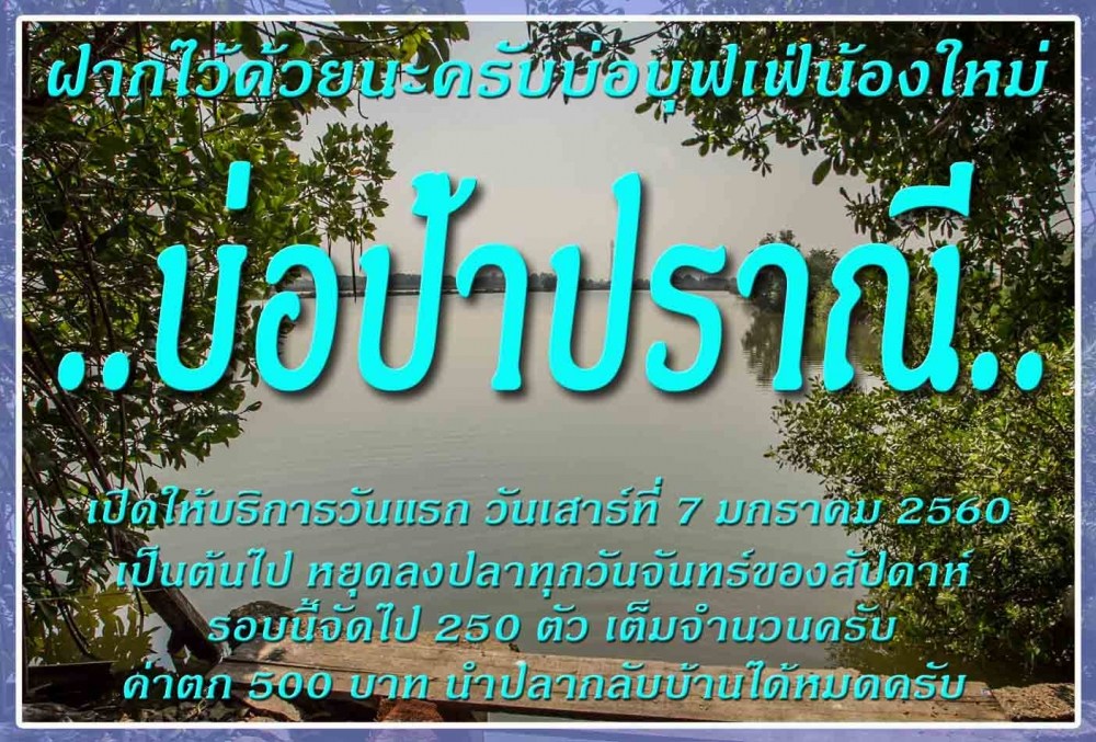 ฝากด้วยนะครับบ่อบุฟเฟ่น้องใหม่บ่อ..ป้าปราณี..เปิดซิงๆวันเสาร์ที่ 7 ม.ค. 60 นี้