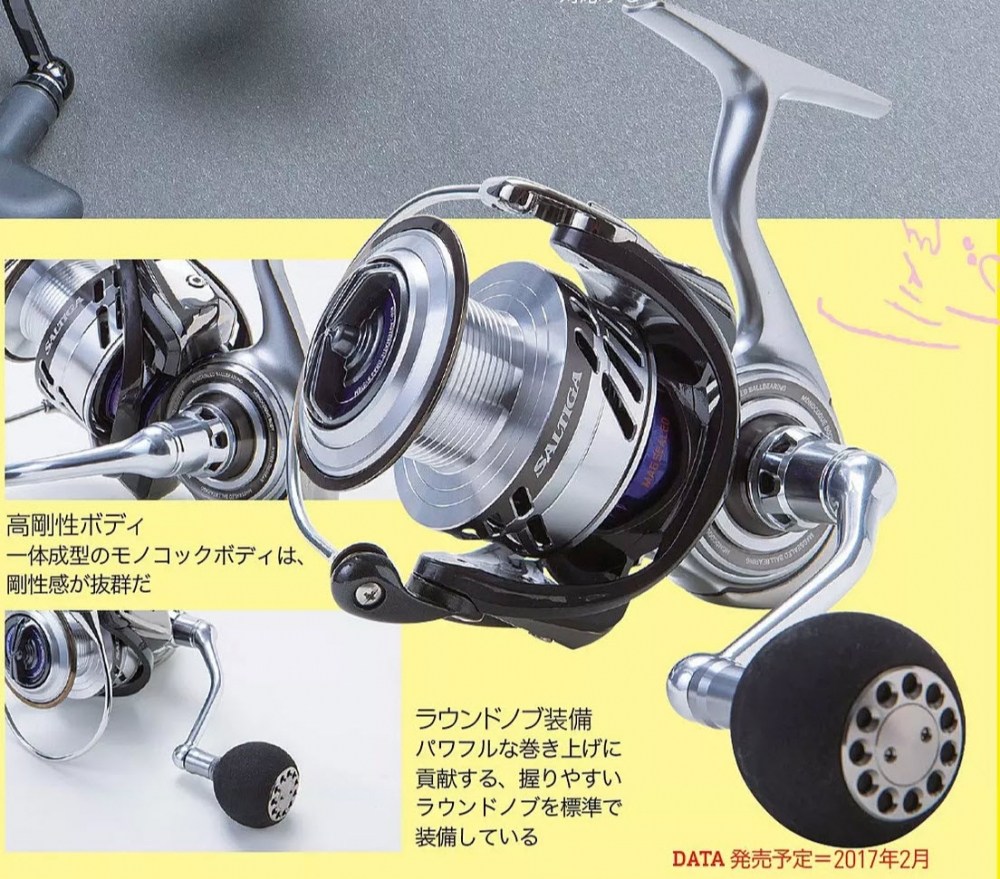 DAIWA 2017 SALTIGA BJ