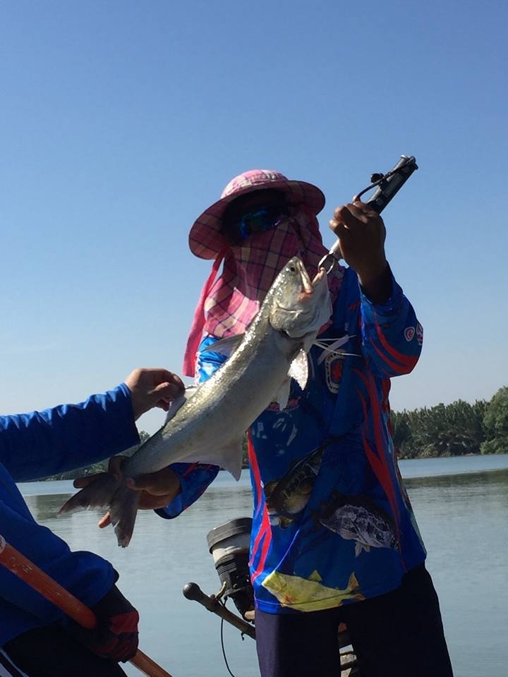 ส่งท้ายปลายปีกับไต่สังข์บางปะกง
