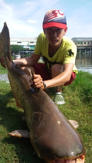 ต้นปีโดนไซ้ค์นี้เลยครับ บ่อวันชัย