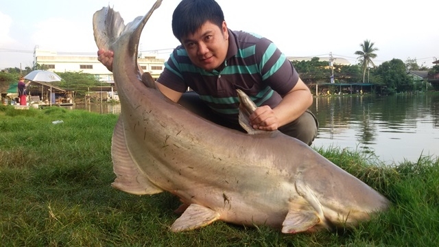 ต้นปีโดนไซ้ค์นี้เลยครับ บ่อวันชัย