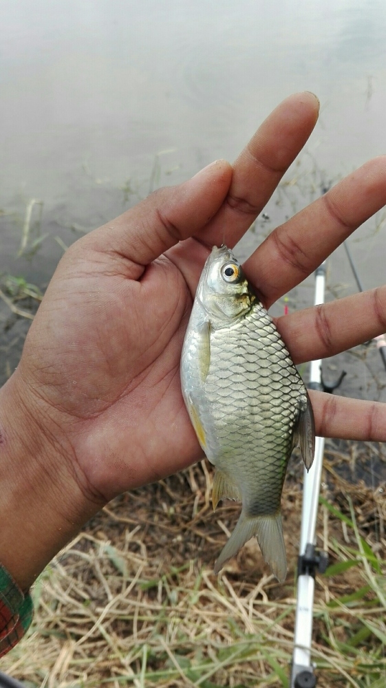 หัดมานั่งจ้องทุ่นบ้างครับ