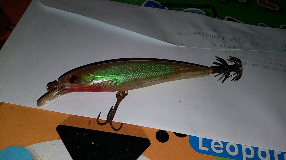 โยตกหมึกทรงปลา squid minnow