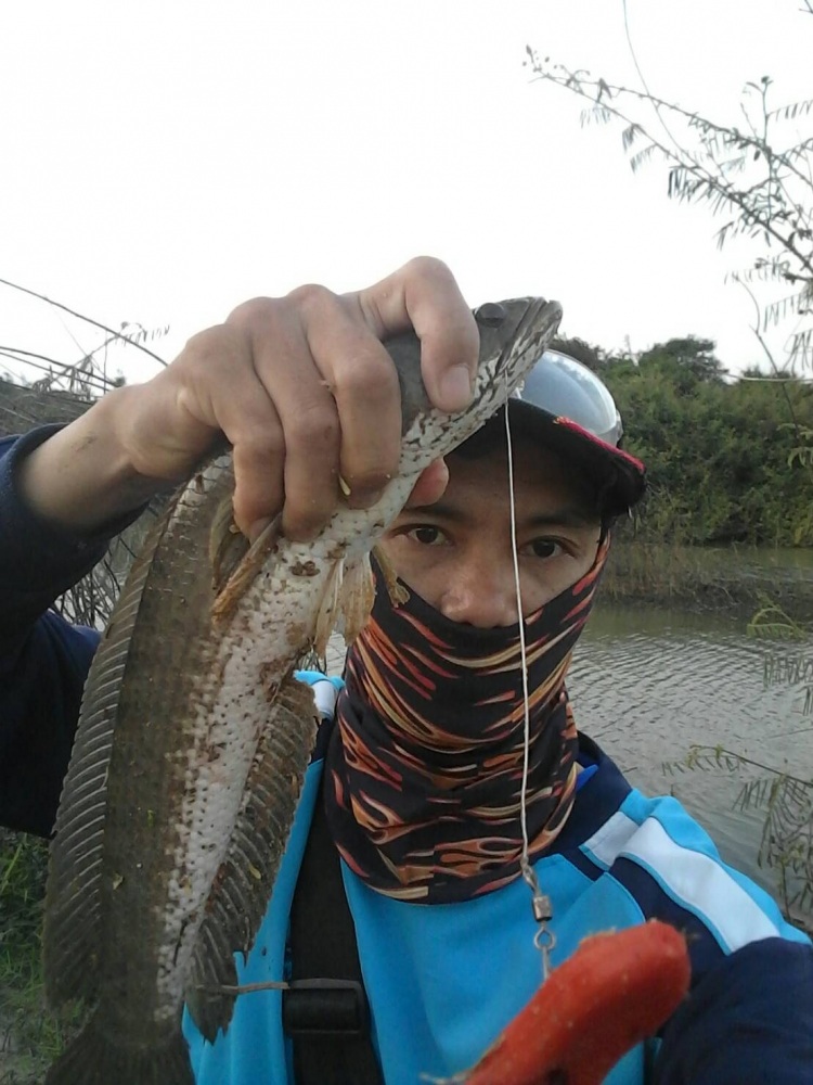 ...ลมแรงๆๆ..ยังกัด..ดุจริงๆ..ครับ..