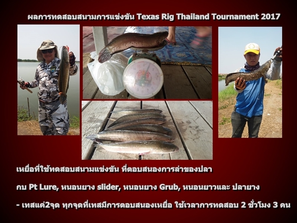 ((((( Texas Rig Thailand Tournament 2017 )))))