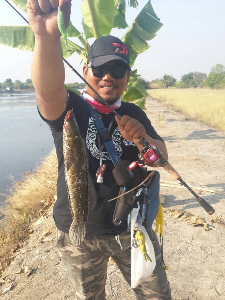 , , texas rig บ่อสาหร่าย , ,