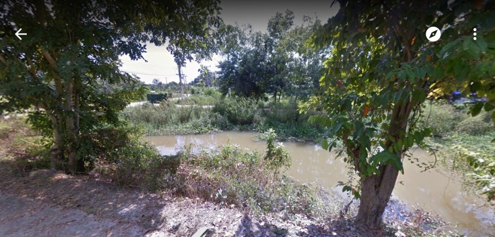 ปลาช่อนเมืองเพชร...รักเธอเม็ดใจ..