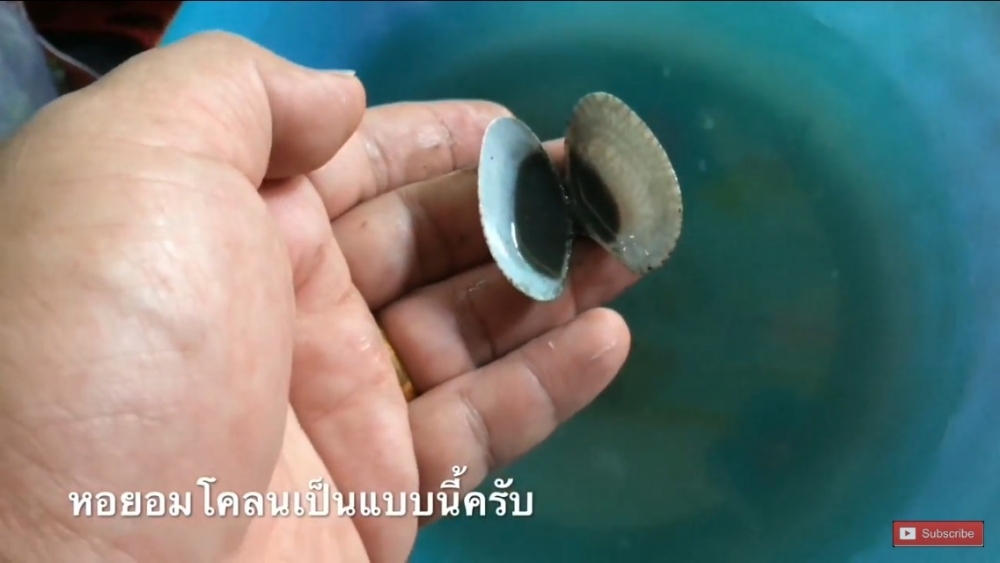 หอยลายผัดน้ำพริกเผา