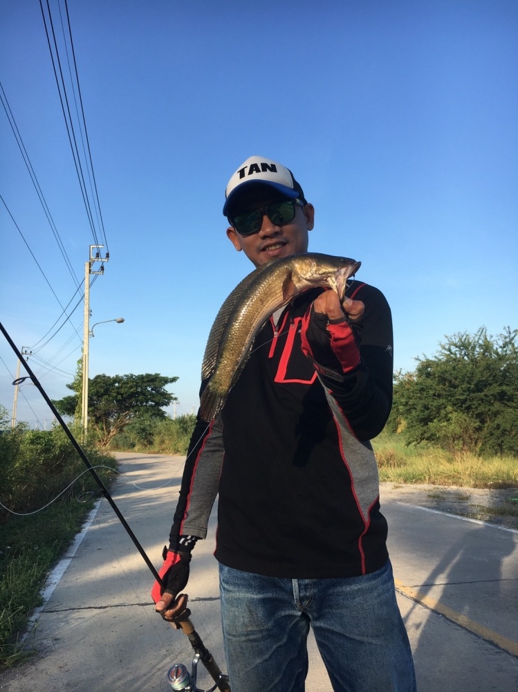 พอได้กิน /SnakeHead Angler Club